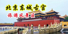 大鸡巴操裸体小逼逼黑逼毛视频图中国北京-东城古宫旅游风景区